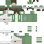 skin for skin request forgot the hair color