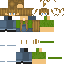 skin for skinideapt1