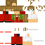 skin for skinideapt2