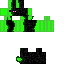 skin for slime & endermen