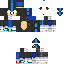 skin for Sonic