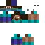 skin for Steve