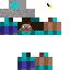 skin for Steve holding bucket of water