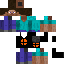 skin for Steve with Smash shirt