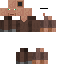 skin for stupid villager