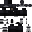 skin for swat