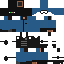 skin for swat