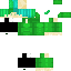 skin for Teal Emerald Boy