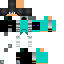 skin for team enderman