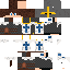 skin for Templar Knight V2