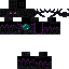 skin for The Endermaster (Endventures)