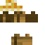 skin for Torch