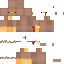 skin for torky