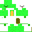 skin for turtle  remake