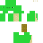 skin for turtle