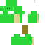 skin for turtle