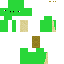 skin for turtle