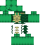 skin for turtle