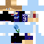 skin for Upsidedown blueberry