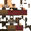 skin for Viking 