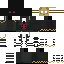 skin for VIP RyuMishy