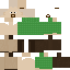 skin for Walter