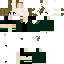 skin for wip