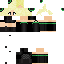 skin for witchy Cookii 