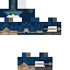 skin for Xisumavoid penguin