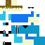 skin for ZanderGaming7YT