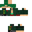 skin for ZORO