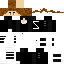 skin for ZTUPIC STANK